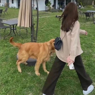 一往无前